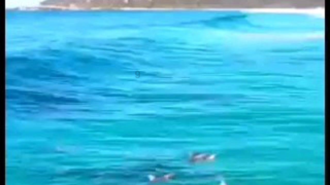 暗黑传说单机版
