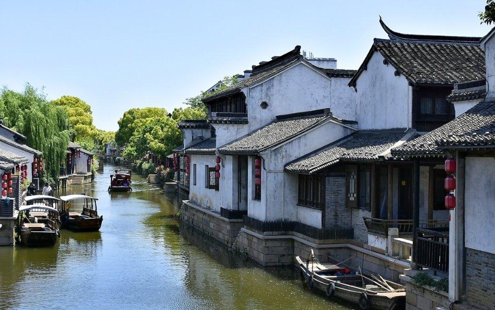 我的王朝